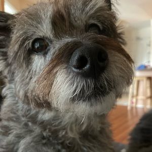 Meet your Posher, Sandra